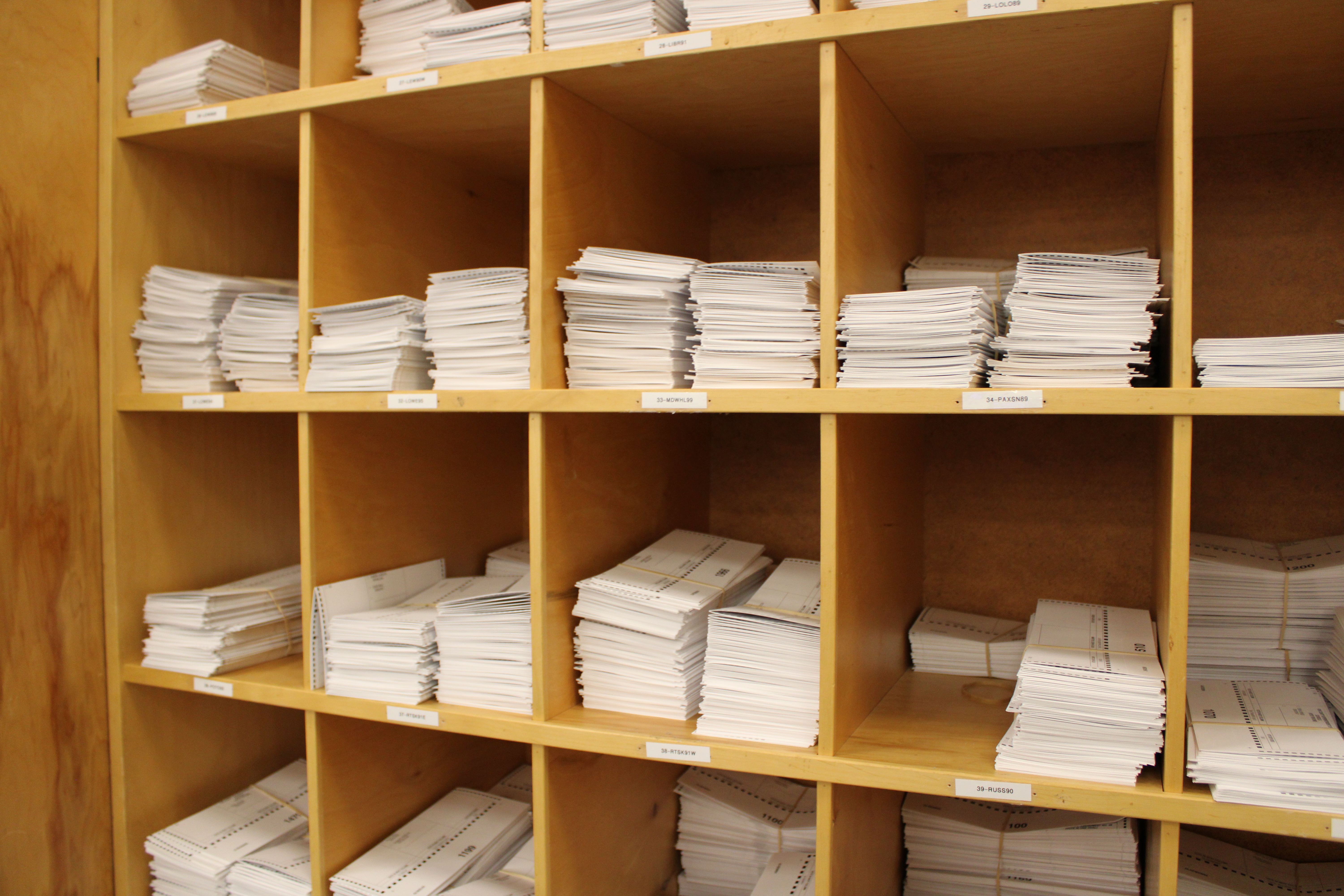 Municipal Primary Ballots Mail Citywide