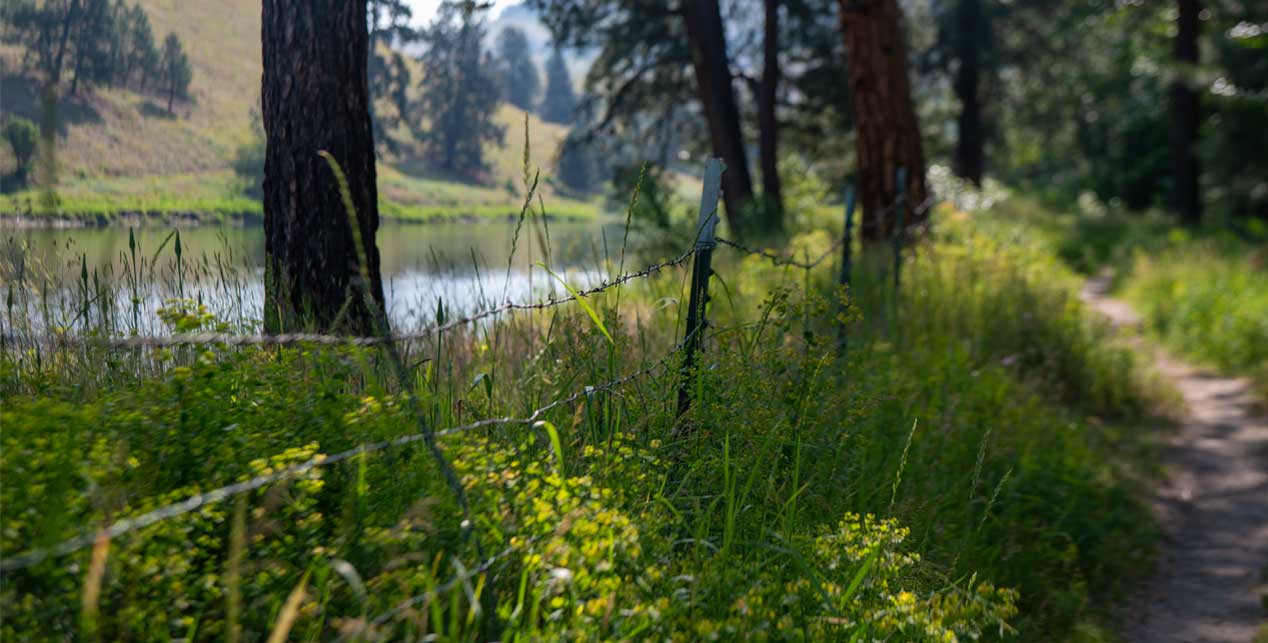 Lolo Riverside Park